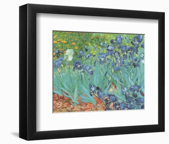 Irises, Saint-Remy, c.1889-Vincent van Gogh-Framed Art Print