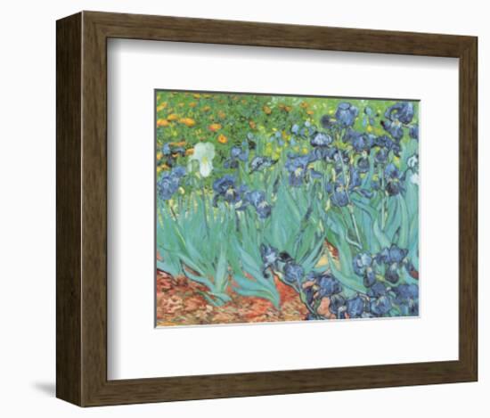 Irises, Saint-Remy, c.1889-Vincent van Gogh-Framed Art Print