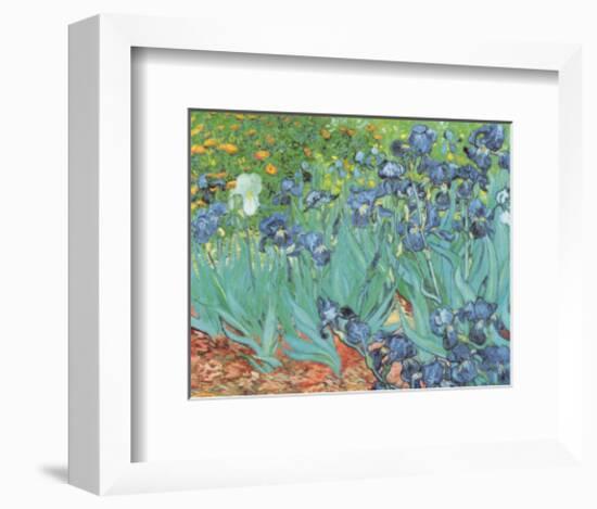 Irises, Saint-Remy, c.1889-Vincent van Gogh-Framed Art Print