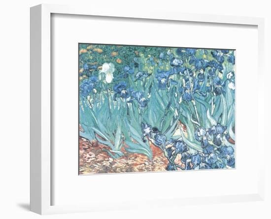 Irises, Saint-Remy, c.1889-Vincent van Gogh-Framed Art Print