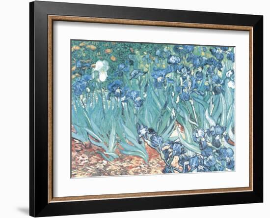 Irises, Saint-Remy, c.1889-Vincent van Gogh-Framed Art Print