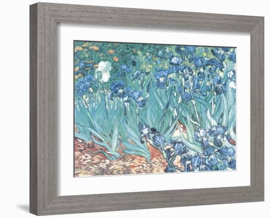 Irises, Saint-Remy, c.1889-Vincent van Gogh-Framed Art Print