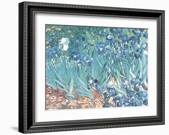 Irises, Saint-Remy, c.1889-Vincent van Gogh-Framed Art Print