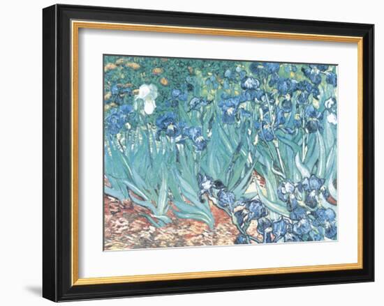 Irises, Saint-Remy, c.1889-Vincent van Gogh-Framed Art Print