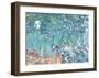 Irises, Saint-Remy, c.1889-Vincent van Gogh-Framed Art Print