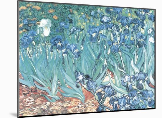 Irises, Saint-Remy, c.1889-Vincent van Gogh-Mounted Art Print