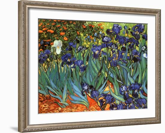 Irises, Saint-Remy, c.1889-Vincent van Gogh-Framed Art Print