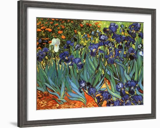 Irises, Saint-Remy, c.1889-Vincent van Gogh-Framed Art Print