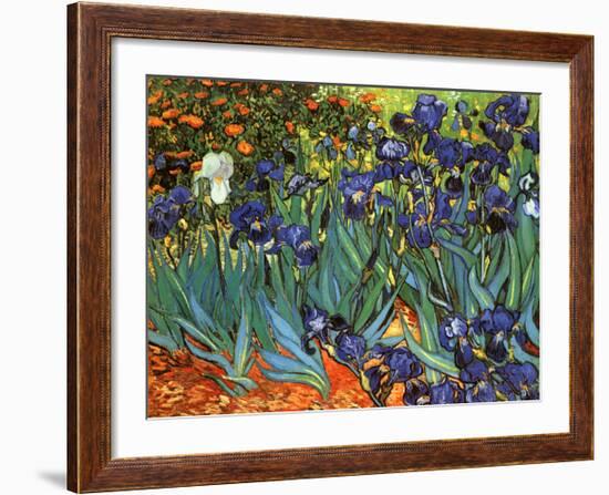 Irises, Saint-Remy, c.1889-Vincent van Gogh-Framed Art Print