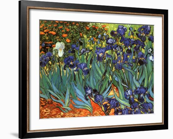 Irises, Saint-Remy, c.1889-Vincent van Gogh-Framed Art Print