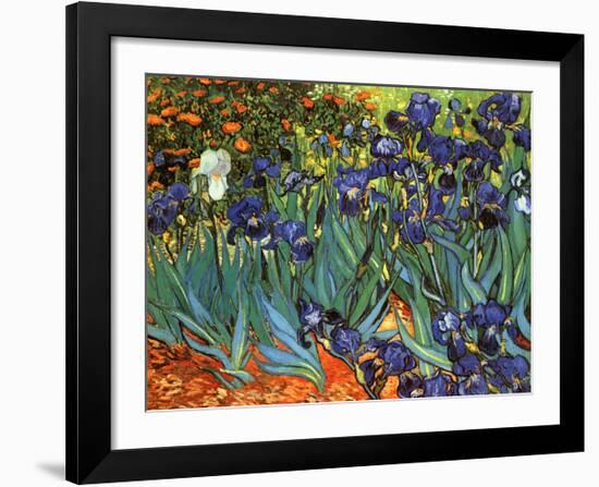 Irises, Saint-Remy, c.1889-Vincent van Gogh-Framed Art Print