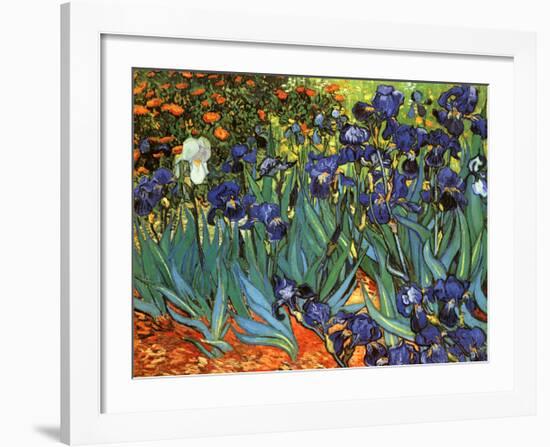 Irises, Saint-Remy, c.1889-Vincent van Gogh-Framed Art Print