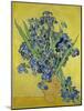 Irises. Saint-Rémy-de-Provence, May 1890-Vincent van Gogh-Mounted Giclee Print