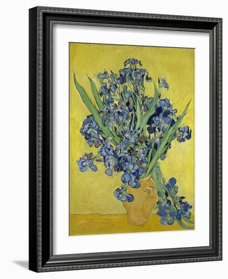 Irises. Saint-Rémy-de-Provence, May 1890-Vincent van Gogh-Framed Giclee Print