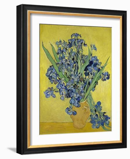 Irises. Saint-Rémy-de-Provence, May 1890-Vincent van Gogh-Framed Giclee Print