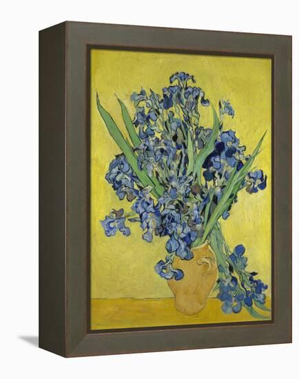 Irises. Saint-Rémy-de-Provence, May 1890-Vincent van Gogh-Framed Premier Image Canvas