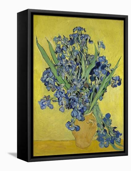 Irises. Saint-Rémy-de-Provence, May 1890-Vincent van Gogh-Framed Premier Image Canvas