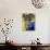 Irises, Series I-Isy Ochoa-Premium Giclee Print displayed on a wall