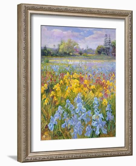 Irises, Willow and Fir Tree, 1993-Timothy Easton-Framed Giclee Print