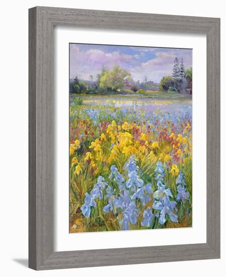 Irises, Willow and Fir Tree, 1993-Timothy Easton-Framed Giclee Print
