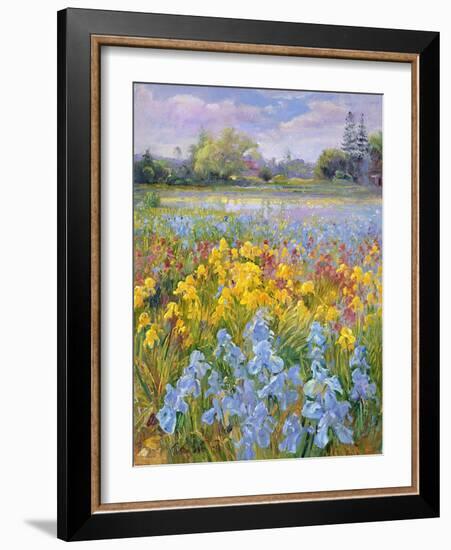 Irises, Willow and Fir Tree, 1993-Timothy Easton-Framed Giclee Print