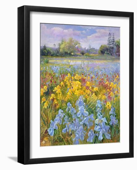 Irises, Willow and Fir Tree, 1993-Timothy Easton-Framed Giclee Print