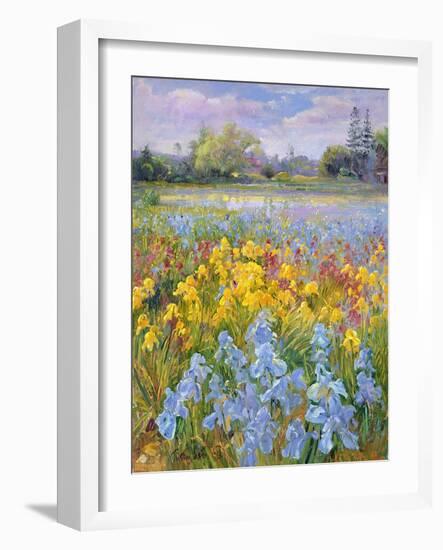 Irises, Willow and Fir Tree, 1993-Timothy Easton-Framed Giclee Print