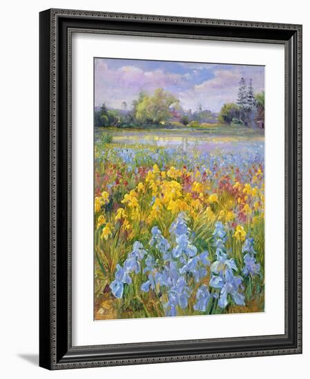 Irises, Willow and Fir Tree, 1993-Timothy Easton-Framed Giclee Print