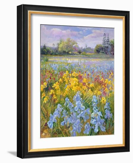 Irises, Willow and Fir Tree, 1993-Timothy Easton-Framed Giclee Print