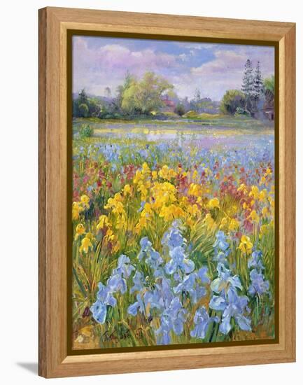 Irises, Willow and Fir Tree, 1993-Timothy Easton-Framed Premier Image Canvas