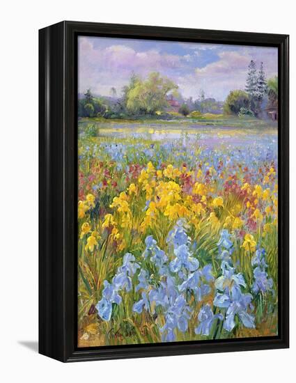 Irises, Willow and Fir Tree, 1993-Timothy Easton-Framed Premier Image Canvas