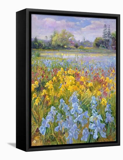 Irises, Willow and Fir Tree, 1993-Timothy Easton-Framed Premier Image Canvas