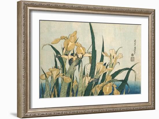 Irises with a Grasshopper, Pub.1830 (Colour Woodblock Print)-Katsushika Hokusai-Framed Giclee Print