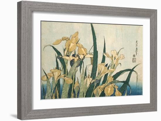 Irises with a Grasshopper, Pub.1830 (Colour Woodblock Print)-Katsushika Hokusai-Framed Giclee Print