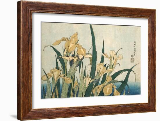 Irises with a Grasshopper, Pub.1830 (Colour Woodblock Print)-Katsushika Hokusai-Framed Giclee Print