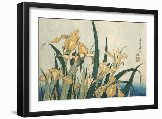 Irises with a Grasshopper, Pub.1830 (Colour Woodblock Print)-Katsushika Hokusai-Framed Giclee Print