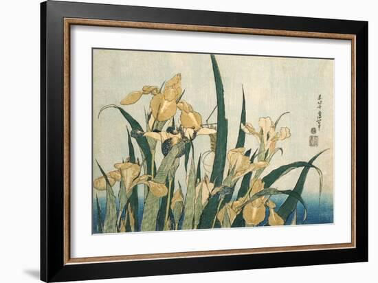 Irises with a Grasshopper, Pub.1830 (Colour Woodblock Print)-Katsushika Hokusai-Framed Giclee Print