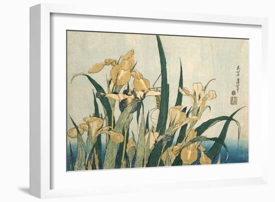 Irises with a Grasshopper, Pub.1830 (Colour Woodblock Print)-Katsushika Hokusai-Framed Giclee Print