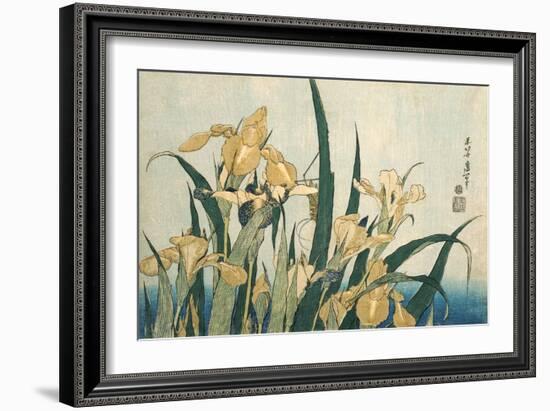 Irises with a Grasshopper, Pub.1830 (Colour Woodblock Print)-Katsushika Hokusai-Framed Giclee Print