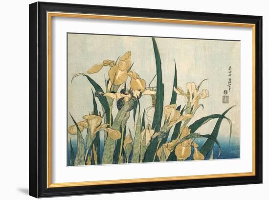 Irises with a Grasshopper, Pub.1830 (Colour Woodblock Print)-Katsushika Hokusai-Framed Giclee Print