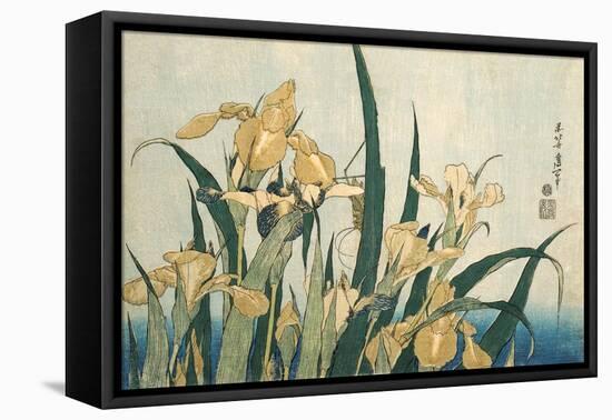 Irises with a Grasshopper, Pub.1830 (Colour Woodblock Print)-Katsushika Hokusai-Framed Premier Image Canvas