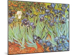Irises-Vincent van Gogh-Mounted Art Print