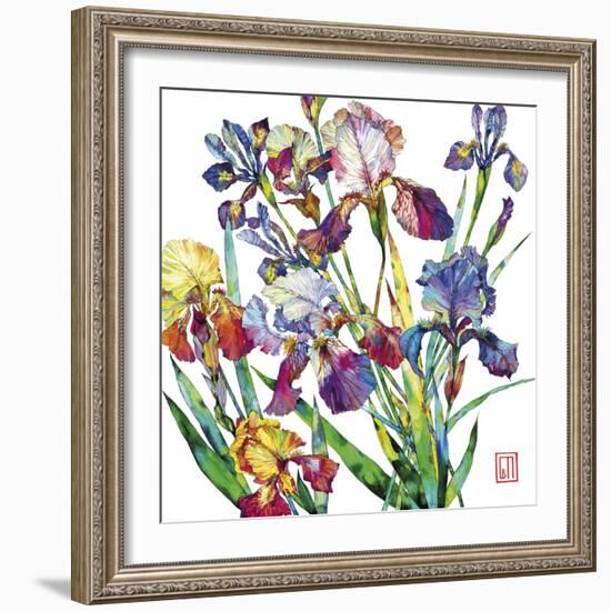 Irises-Sofia Perina-Miller-Framed Giclee Print