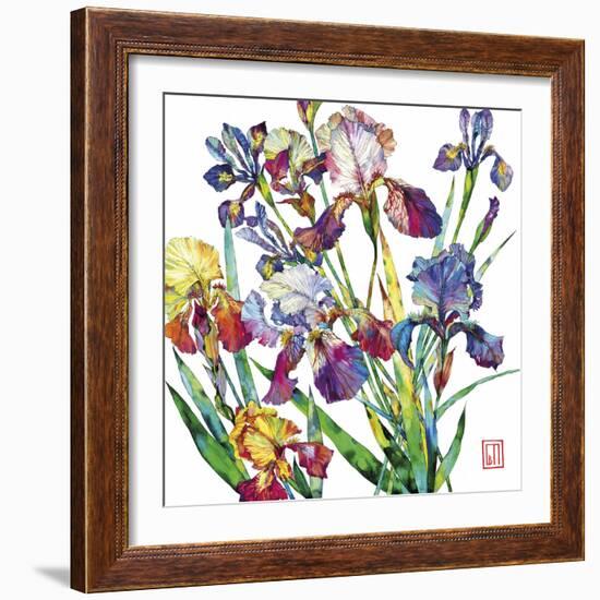 Irises-Sofia Perina-Miller-Framed Giclee Print