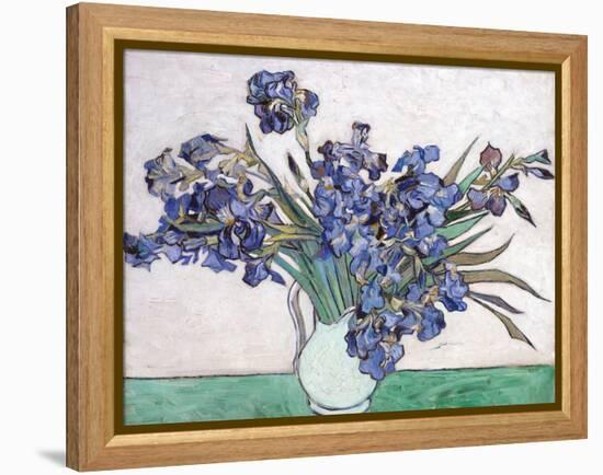 Irises-Vincent van Gogh-Framed Premier Image Canvas