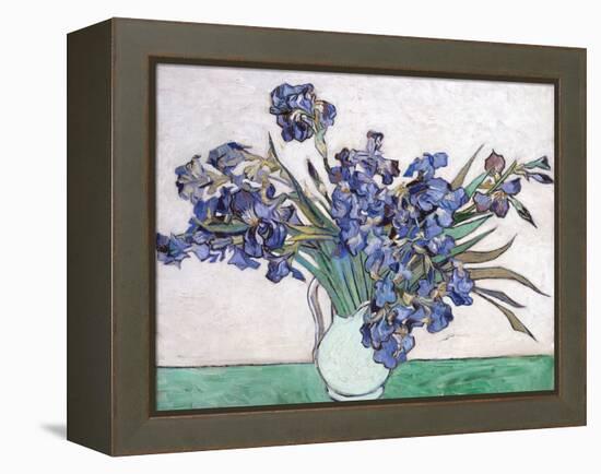 Irises-Vincent van Gogh-Framed Premier Image Canvas