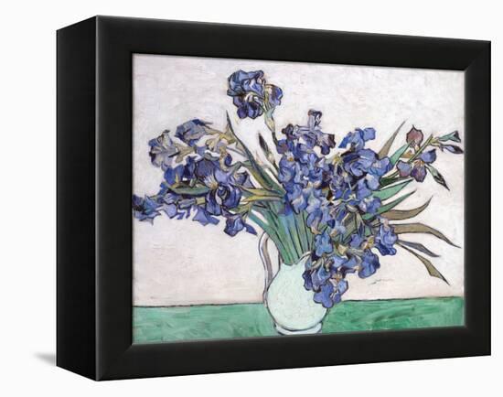 Irises-Vincent van Gogh-Framed Premier Image Canvas