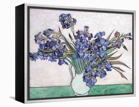 Irises-Vincent van Gogh-Framed Premier Image Canvas