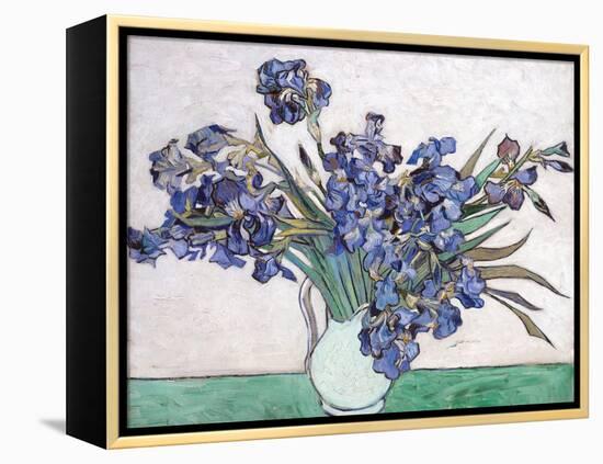 Irises-Vincent van Gogh-Framed Premier Image Canvas