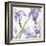 Irises-Sheila Golden-Framed Art Print